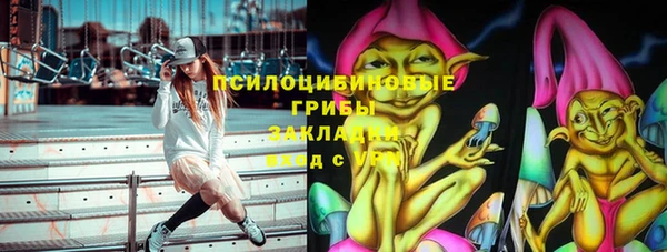 прущая мука Арсеньев