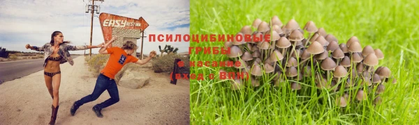 молекула духа Балахна