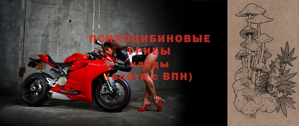 сатива Мегион